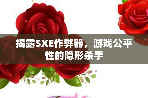 揭露SXE作弊器，游戏公平性的隐形杀手