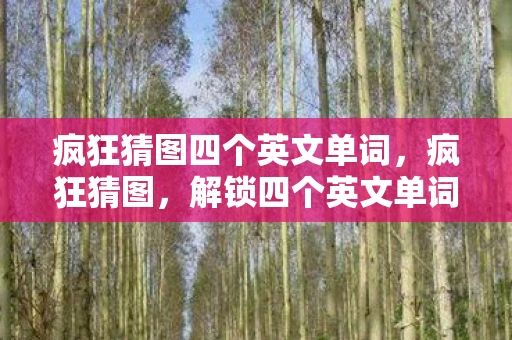 疯狂猜图四个英文单词,疯狂猜图,解锁四个英文单词的无限可能 疯狂猜图四个英文单词,疯狂猜图,解锁四个英文单词的无限可能