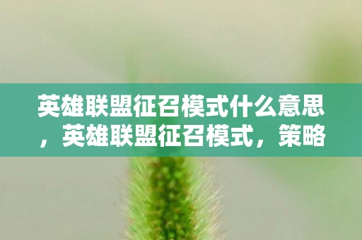 英雄联盟征召模式什么意思，英雄联盟征召模式，策略与智慧的碰撞