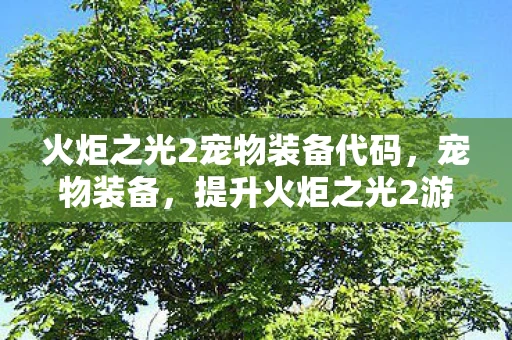 火炬之光2宠物装备代码,宠物装备,提升火炬之光2游戏体验的必备神器 火炬之光2宠物装备代码,宠物装备,提升火炬之光2游戏体验的必备神器