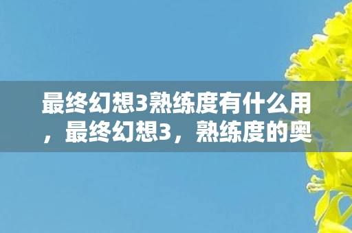 最终幻想3熟练度有什么用，最终幻想3，熟练度的奥秘