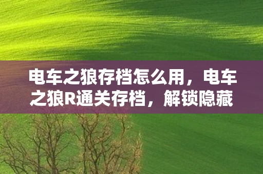 电车之狼存档怎么用，电车之狼R通关存档，解锁隐藏结局的秘籍