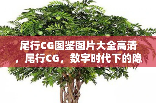 尾行CG图鉴图片大全高清，尾行CG，数字时代下的隐私与道德边界
