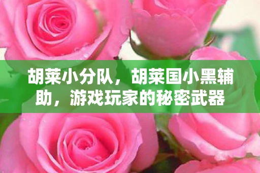胡莱小分队,胡莱国小黑辅助,游戏玩家的秘密武器 胡莱小分队,胡莱国小黑辅助,游戏玩家的秘密武器
