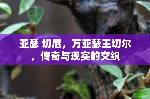 亚瑟 切尼,万亚瑟王切尔,传奇与现实的交织 亚瑟 切尼,万亚瑟王切尔,传奇与现实的交织