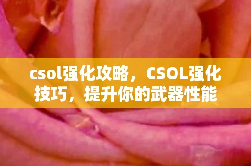 csol强化攻略，CSOL强化技巧，提升你的武器性能