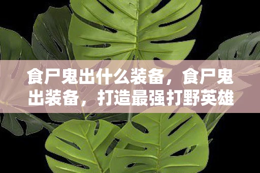 食尸鬼出什么装备，食尸鬼出装备，打造最强打野英雄