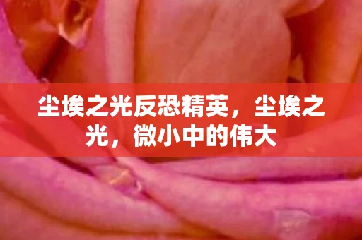 尘埃之光反恐精英，尘埃之光，微小中的伟大