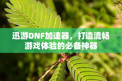 迅游DNF加速器,打造流畅游戏体验的必备神器 迅游DNF加速器,打造流畅游戏体验的必备神器