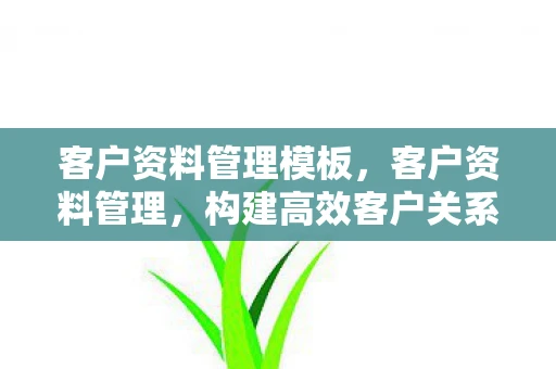 客户资料管理模板,客户资料管理,构建高效客户关系的基石 客户资料管理模板,客户资料管理,构建高效客户关系的基石