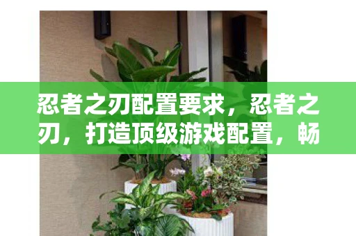 忍者之刃配置要求，忍者之刃，打造顶级游戏配置，畅享流畅体验
