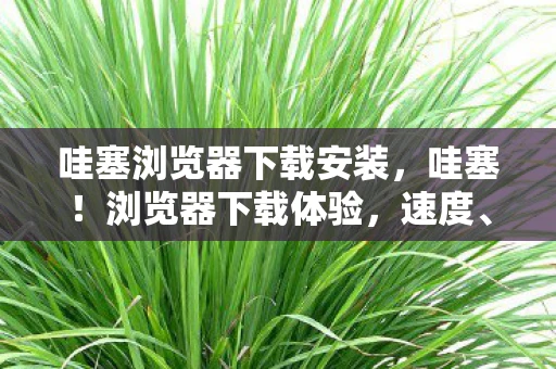 哇塞浏览器下载安装,哇塞!浏览器下载体验,速度、安全与易用性的完美结合 哇塞浏览器下载安装,哇塞!浏览器下载体验,速度、安全与易用性的完美结合