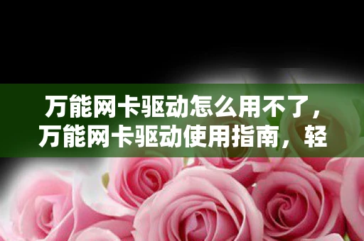 万能网卡驱动怎么用不了，万能网卡驱动使用指南，轻松解决网络问题