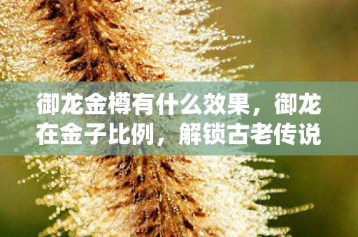 御龙金樽有什么效果，御龙在金子比例，解锁古老传说中的财富密码