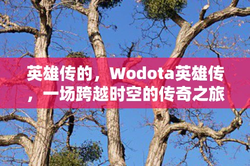 英雄传的，Wodota英雄传，一场跨越时空的传奇之旅