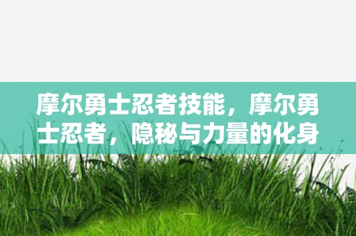 摩尔勇士忍者技能,摩尔勇士忍者,隐秘与力量的化身 摩尔勇士忍者技能,摩尔勇士忍者,隐秘与力量的化身
