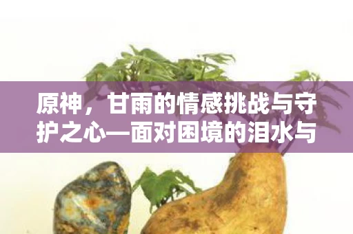 甘雨的情感挑战与守护之心图片