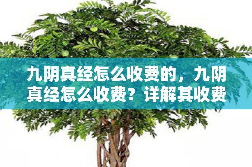 九阴真经怎么收费的，九阴真经怎么收费？详解其收费模式与玩家反馈