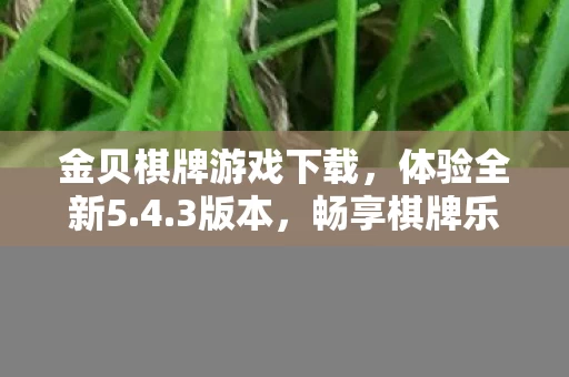 金贝棋牌游戏下载图片