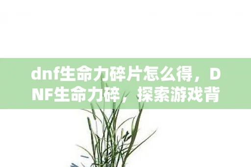dnf生命力碎片怎么得，DNF生命力碎，探索游戏背后的深层意义