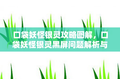 口袋妖怪银灵攻略图解，口袋妖怪银灵黑屏问题解析与解决策略