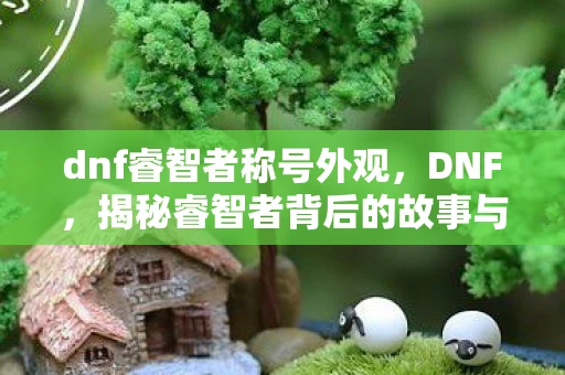 dnf睿智者称号外观,DNF,揭秘睿智者背后的故事与魅力 dnf睿智者称号外观,DNF,揭秘睿智者背后的故事与魅力