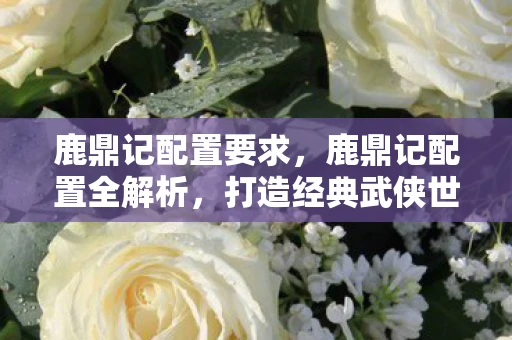 鹿鼎记配置要求，鹿鼎记配置全解析，打造经典武侠世界的硬件与软件