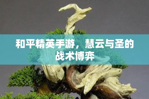 慧云与圣的战术博弈图片
