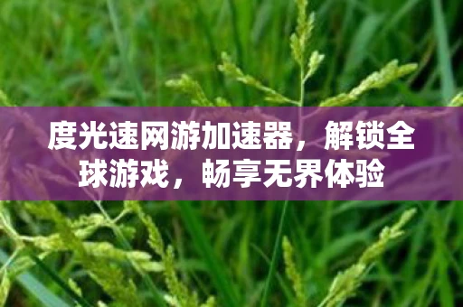 度光速网游加速器，解锁全球游戏，畅享无界体验