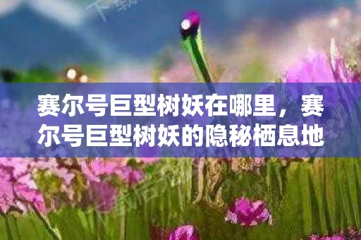赛尔号巨型树妖在哪里,赛尔号巨型树妖的隐秘栖息地 赛尔号巨型树妖在哪里,赛尔号巨型树妖的隐秘栖息地