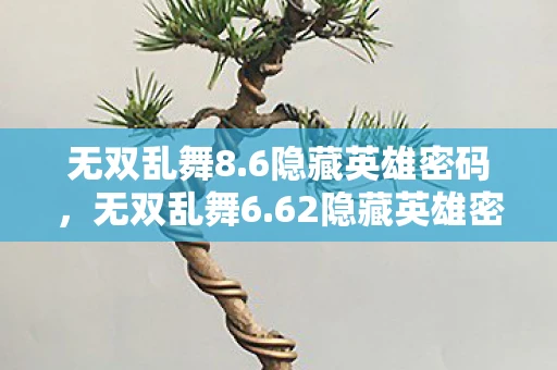 无双乱舞8.6隐藏英雄密码，无双乱舞6.62隐藏英雄密码揭秘
