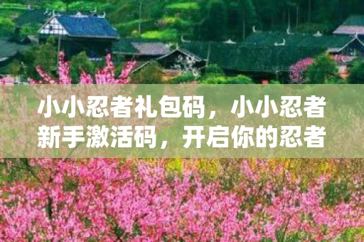 小小忍者礼包码,小小忍者新手激活码,开启你的忍者之旅 小小忍者礼包码,小小忍者新手激活码,开启你的忍者之旅