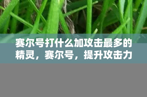 赛尔号打什么加攻击最多的精灵，赛尔号，提升攻击力的最佳策略