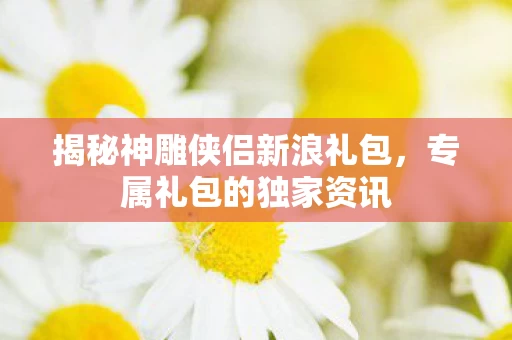 揭秘神雕侠侣新浪礼包图片