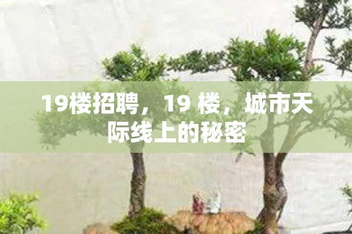 19楼招聘，19 楼，城市天际线上的秘密
