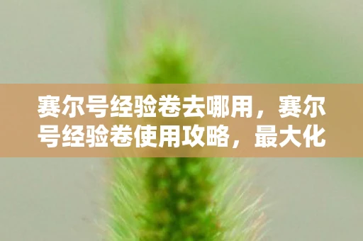 赛尔号经验卷去哪用，赛尔号经验卷使用攻略，最大化你的精灵成长