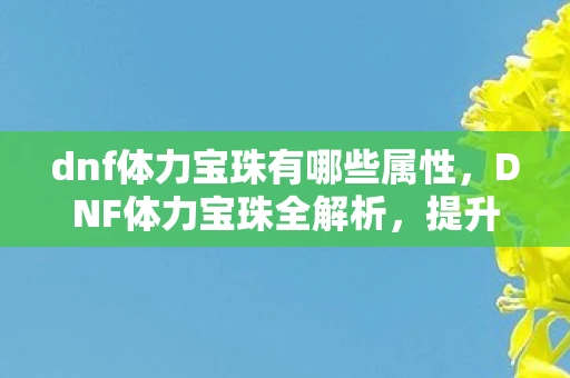 dnf体力宝珠有哪些属性，DNF体力宝珠全解析，提升战斗力的必备道具