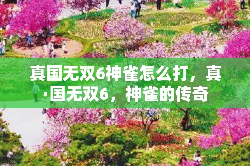 真国无双6神雀怎么打,真·国无双6,神雀的传奇 真国无双6神雀怎么打,真·国无双6,神雀的传奇