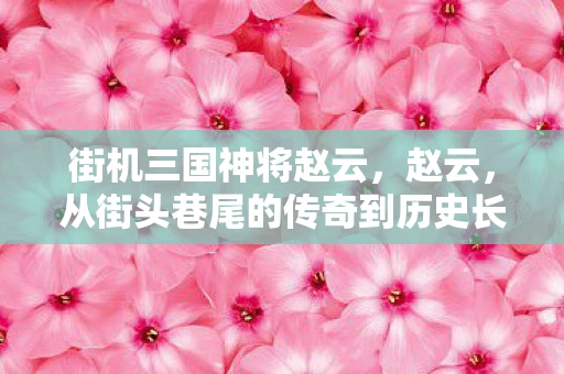 街机三国神将赵云,赵云,从街头巷尾的传奇到历史长河中的名将 街机三国神将赵云,赵云,从街头巷尾的传奇到历史长河中的名将