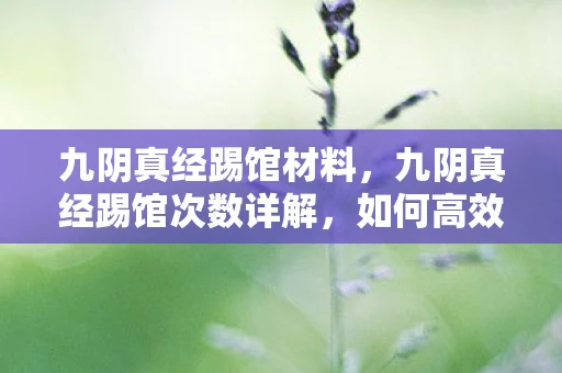 九阴真经踢馆材料，九阴真经踢馆次数详解，如何高效完成踢馆任务