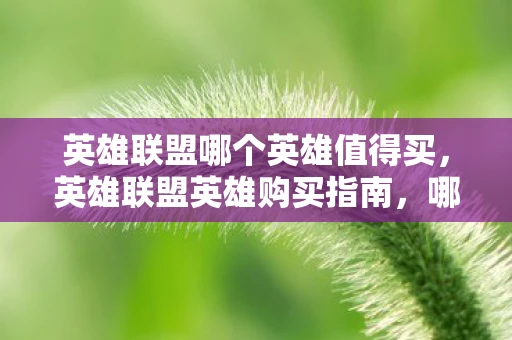 英雄联盟哪个英雄值得买，英雄联盟英雄购买指南，哪些英雄值得入手？