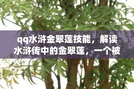 qq水浒金翠莲技能，解读水浒传中的金翠莲，一个被命运捉弄的女性形象