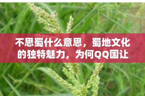 不思蜀什么意思，蜀地文化的独特魅力，为何QQ国让人流连忘返？