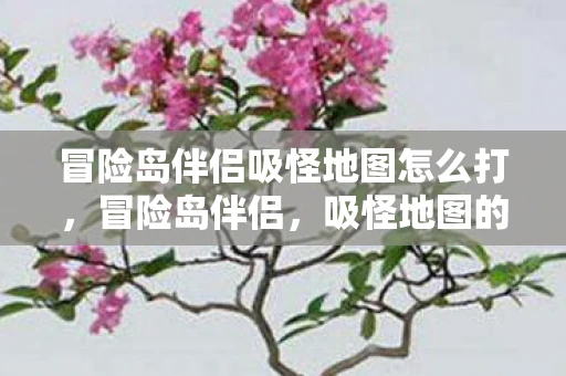 冒险岛伴侣吸怪地图怎么打，冒险岛伴侣，吸怪地图的传奇故事