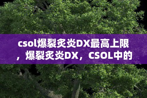 csol爆裂炙炎DX最高上限，爆裂炙炎DX，CSOL中的烈焰风暴