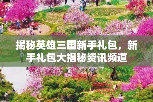 新手礼包大揭秘资讯频道图片