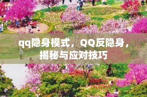 qq隐身模式,QQ反隐身,揭秘与应对技巧 qq隐身模式,QQ反隐身,揭秘与应对技巧