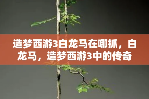造梦西游3白龙马在哪抓，白龙马，造梦西游3中的传奇坐骑