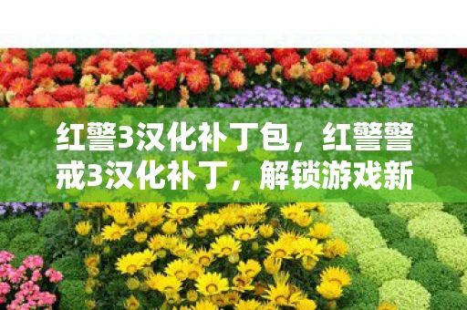 红警3汉化补丁包，红警警戒3汉化补丁，解锁游戏新体验