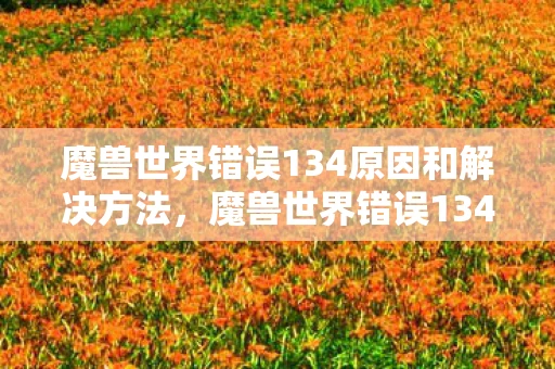 魔兽世界错误134原因和解决方法，魔兽世界错误134，解析与解决方案